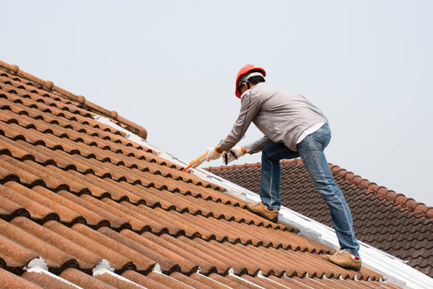 Best Gutter Installation and Repair  in Long Lake, IL