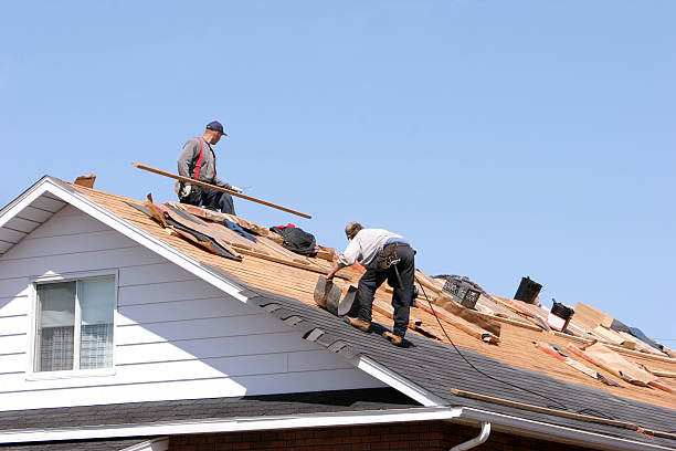 Best Roof Leak Repair  in Long Lake, IL